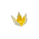 Small yellow lily