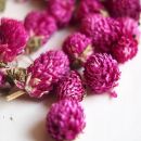 Edible dried flowers - meadow clover 10 g