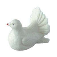 Białe średnie gołębie