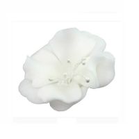 Mała biała magnolia