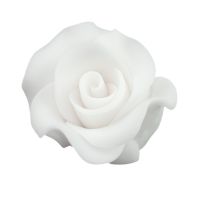 Róża duża L biała