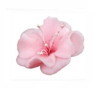 Small light pink magnolia