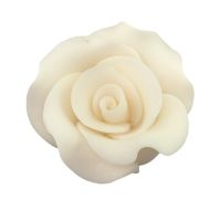 Large L cream rose