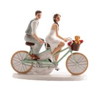 Newlyweds on a bicycle