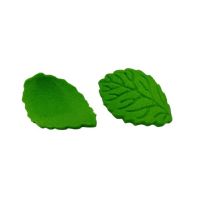 Medium green leaf