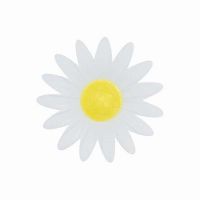 White wafer daisy