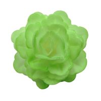Wafer rose Chinese large green shaded