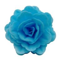 Ostya rózsa kínai nagy kék