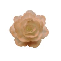 Ostya rózsa kínai közepes lazac árnyalatú