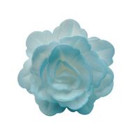 Róża waflowa chińska średnio niebieska cieniowana