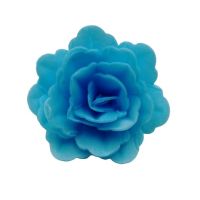 Róża waflowa, chińska, średni błękit