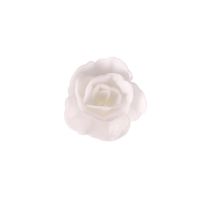 Oblátková ruža čínska malá biela