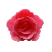 Róża waflowa Chińska mała różowa