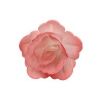 Róża waflowa chińska mała w odcieniu różu