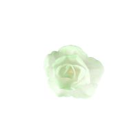 Róża waflowa chińska mała cieniowana w kolorze zielonym