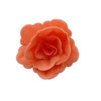 Ostya rózsa kínai kis lazac