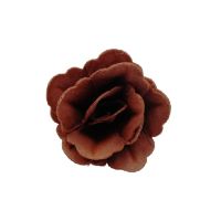 Róża waflowa chińska mała brązowa