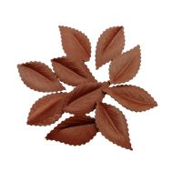 Wafer leaf brown