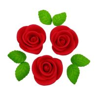 Róża duży zestaw czerwony 9 szt