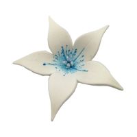 Large blue lily