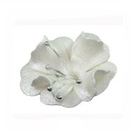 Mała perłowa magnolia
