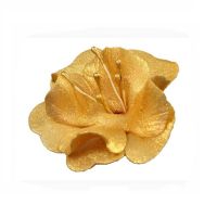 Kleine goldene Magnolie