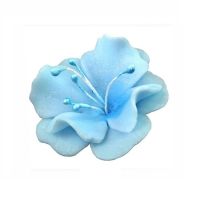 Mała jasnoniebieska magnolia