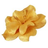 Golden magnolia