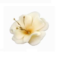 Small beige magnolia