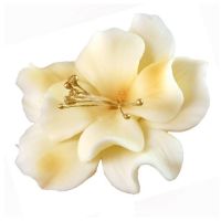 Magnolia beige