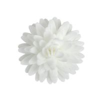 Wafer daisy pompon white