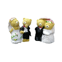 Bear groom with a bride in a bag