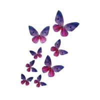 Wafer butterfly purple