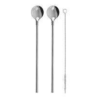 Cocktail spoon with straw 2 pcs + brush