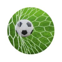 Wafer - soccer ball in the net