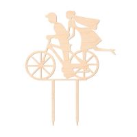 Shot of the bride and groom on a wooden bicycle