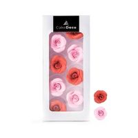 Set of 8 pink and red roses