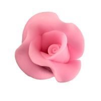 A large pink rose