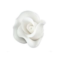 Medium white rose