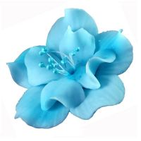 Light blue magnolia