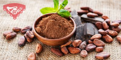 The beneficial effects of cocoa on our health
