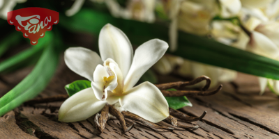 Vanilla - an inconspicuous fragrant miracle