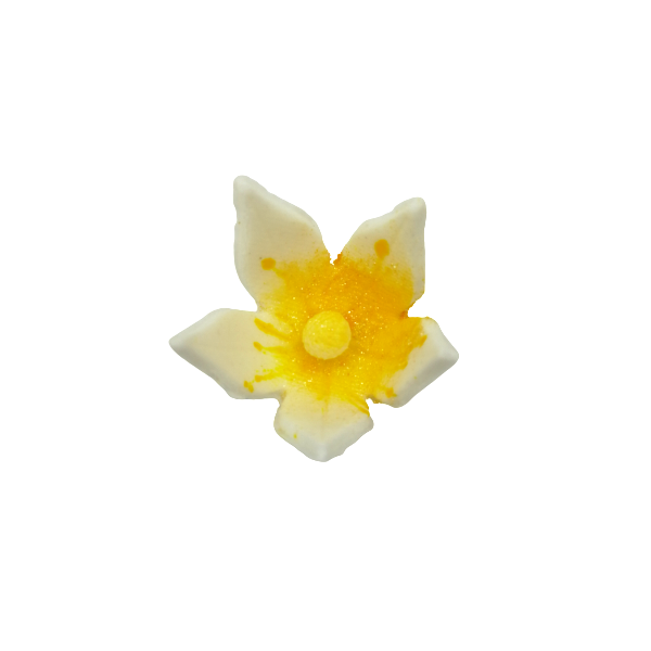 Mała żółta lilia