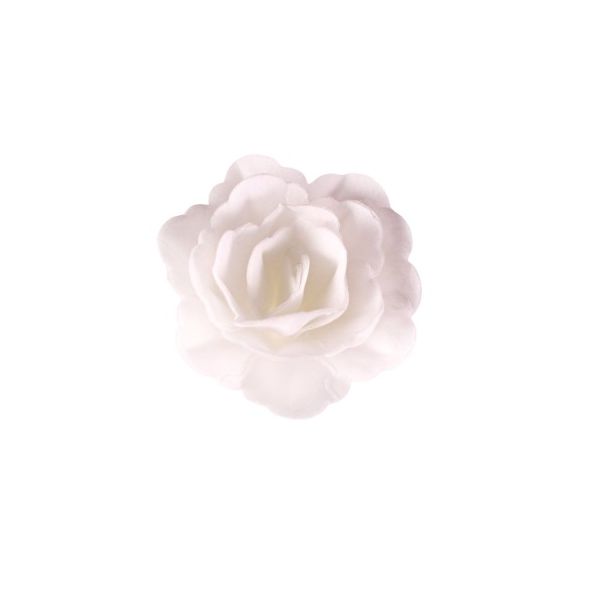 Róża waflowa chińska średnio biała