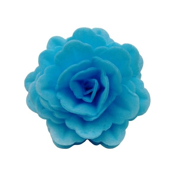 Oblátková ruža čínska veľká modrá