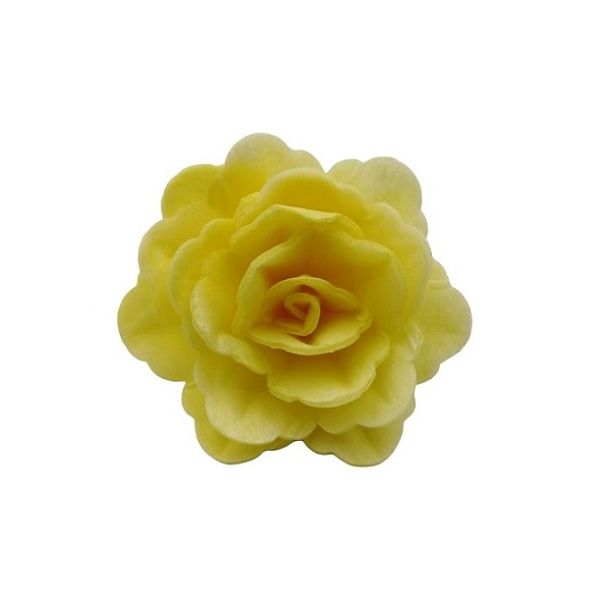 Wafer rose Chinese medium yellow