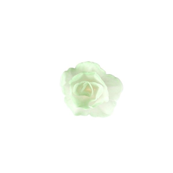 Róża waflowa chińska mała cieniowana w kolorze zielonym