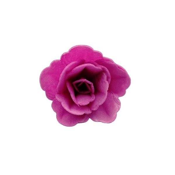 Oblátková ruža čínska malá fialová