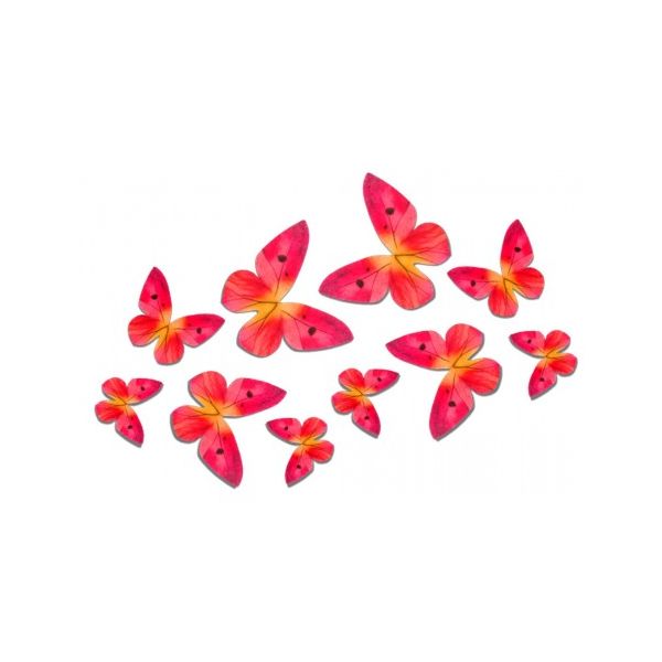 Oblátkový motýľ ružový