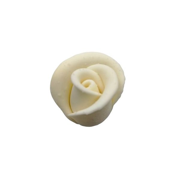 Ruža biela